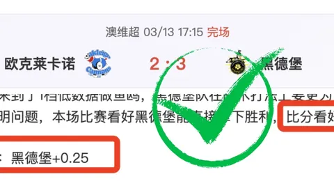 大乐透期号专家推荐：质合分析前区十码，特温特挑战费耶诺德